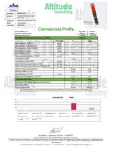 Berrry Watermelon THC CBD Cart 1g Sativa